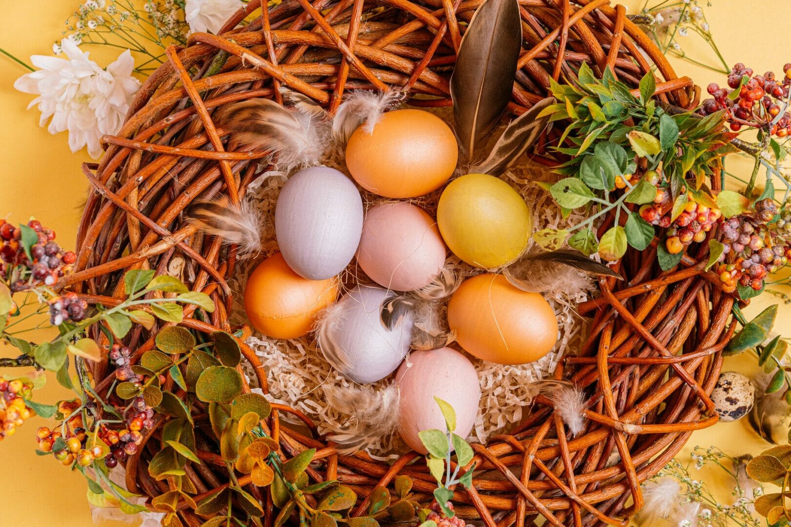 painted eggs on a nest - Easter in Vienna 