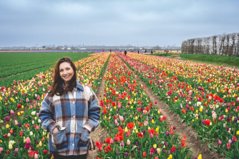 Wann ist die beste Zeit, das Tulip Festival Amsterdam zu besuchen?