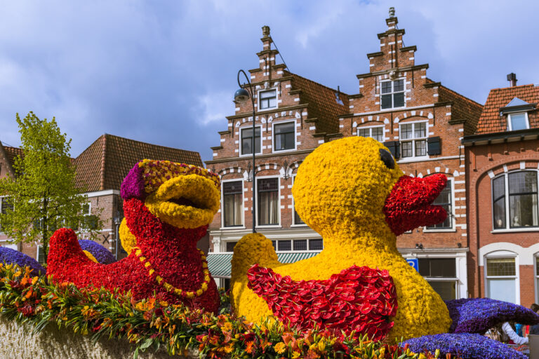 Photography Tips for the Tulip Festival Amsterdam